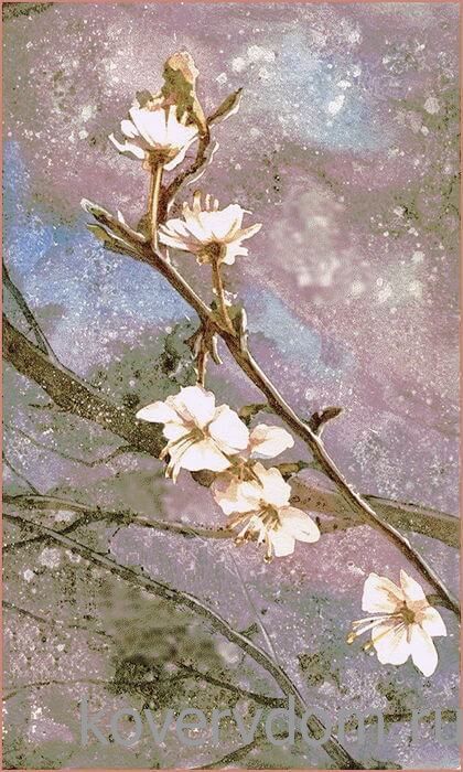 Шерстяной ковер Hunnu 6A1555-65