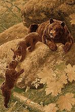 Ковер картина DA VINCI z906 BROWN