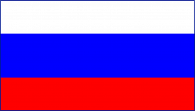 Овальный ковер флаг России