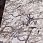 Ковер ARMINA 03819A GREY / BROWN Ковер ARMINA 03819A GREY / BROWN